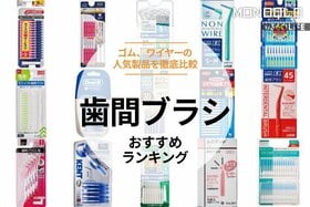 歯間ブラシのおすすめランキング。L字、I字などの人気商品の汚れ落ちなどを比較