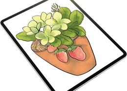 【iPad】プロ直伝！ デジ絵初心者が上手くイラストを描くおすすめの方法は？