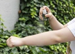 【2021年夏】虫よけのおすすめ3選！蚊が寄り付かず、塗り心地も快適な最強は？