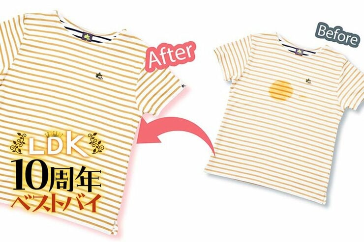 柔軟剤じゃ香りが濁る？ 汚れ&ニオイ防止ならワイドハイターが頼れるんです【LDK10周年ベストバイ】