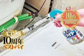 頼れる最強洗剤！ 水回りのヌメリ・カビ対策はやっぱり「泡ハイター」でした【LDK10周年ベストバイ】