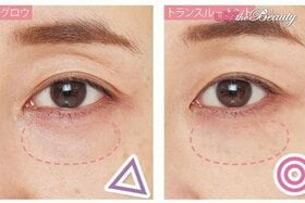 パウダー、グロウタイプを選んでない？ 大人のアラを隠すのは素肌感タイプでした。LDKが紹介